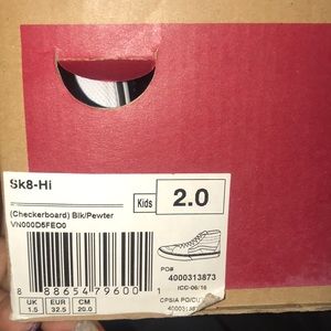 Children’s Skater Hi Top Vans